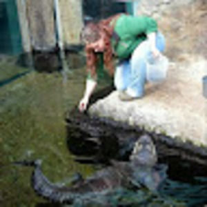 Meet your Posher, Maggie